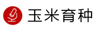 研發(fā)概覽